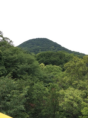 甲山森林公園　自然に癒された