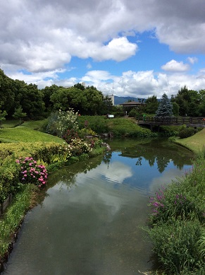 鳴尾浜臨海公園　美しい芝生広場　人は少ない