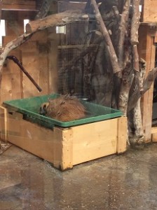 01fc4b5610bd9b0b36808bf56dde4bcd7c192709c9