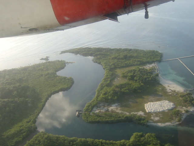 ダイビングのライセンスが世界一安く取得できるカリブの小島　ウティラ島のレポート
